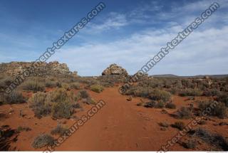 Photo Textures of Background Nature Africa